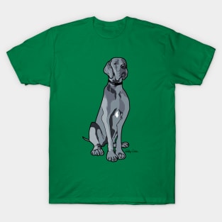 Coby T-Shirt